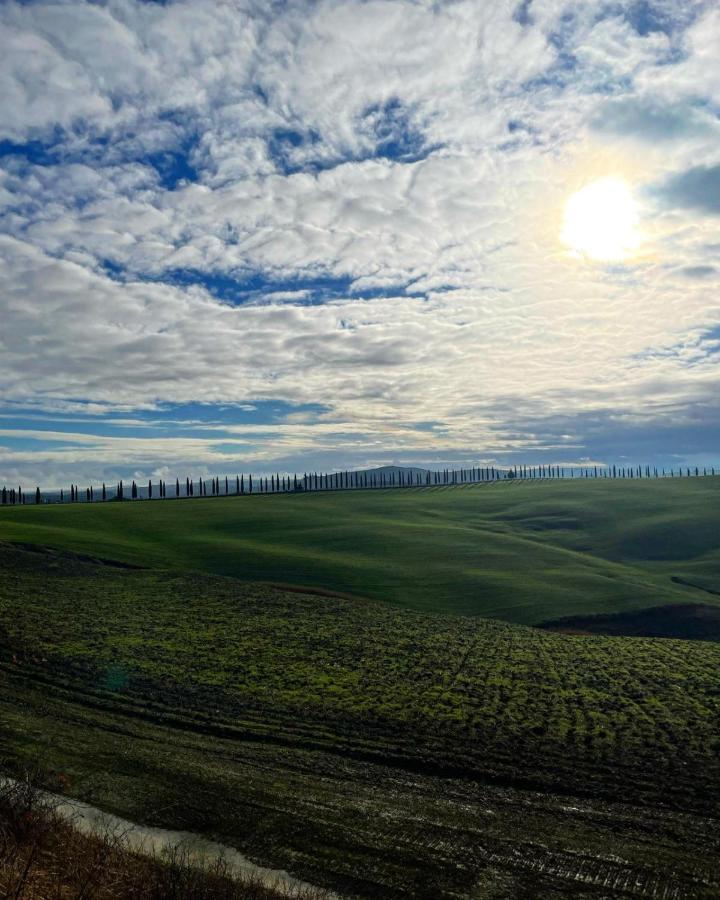 Agriturismo Bombina Montisi Dış mekan fotoğraf