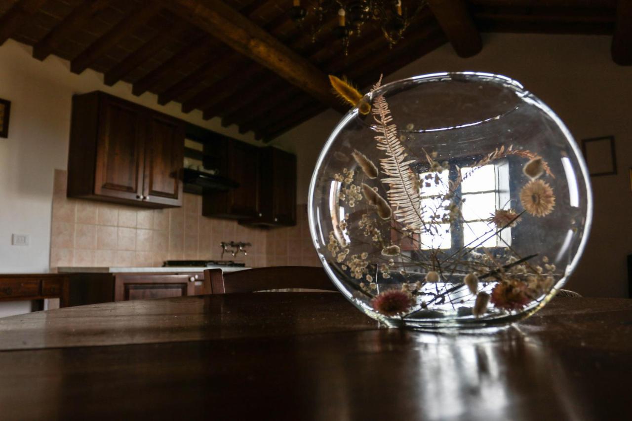 Agriturismo Bombina Montisi Dış mekan fotoğraf