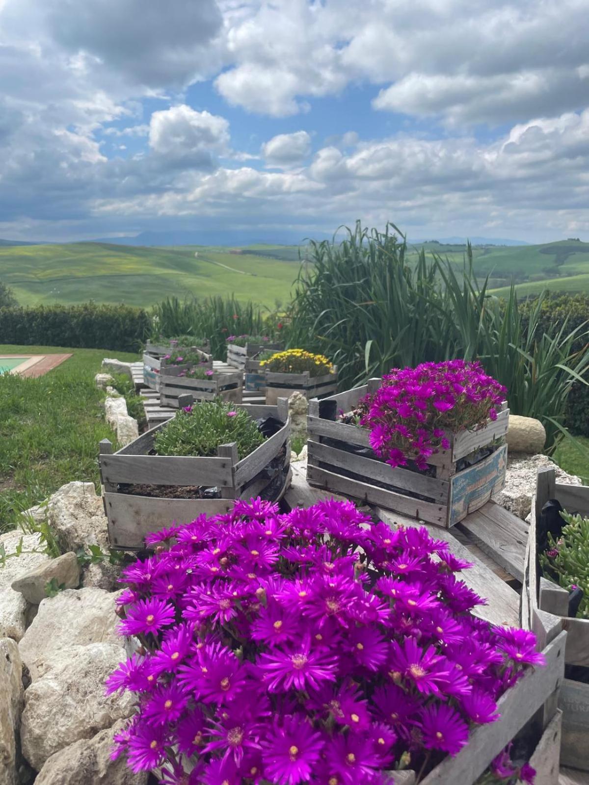 Agriturismo Bombina Montisi Dış mekan fotoğraf